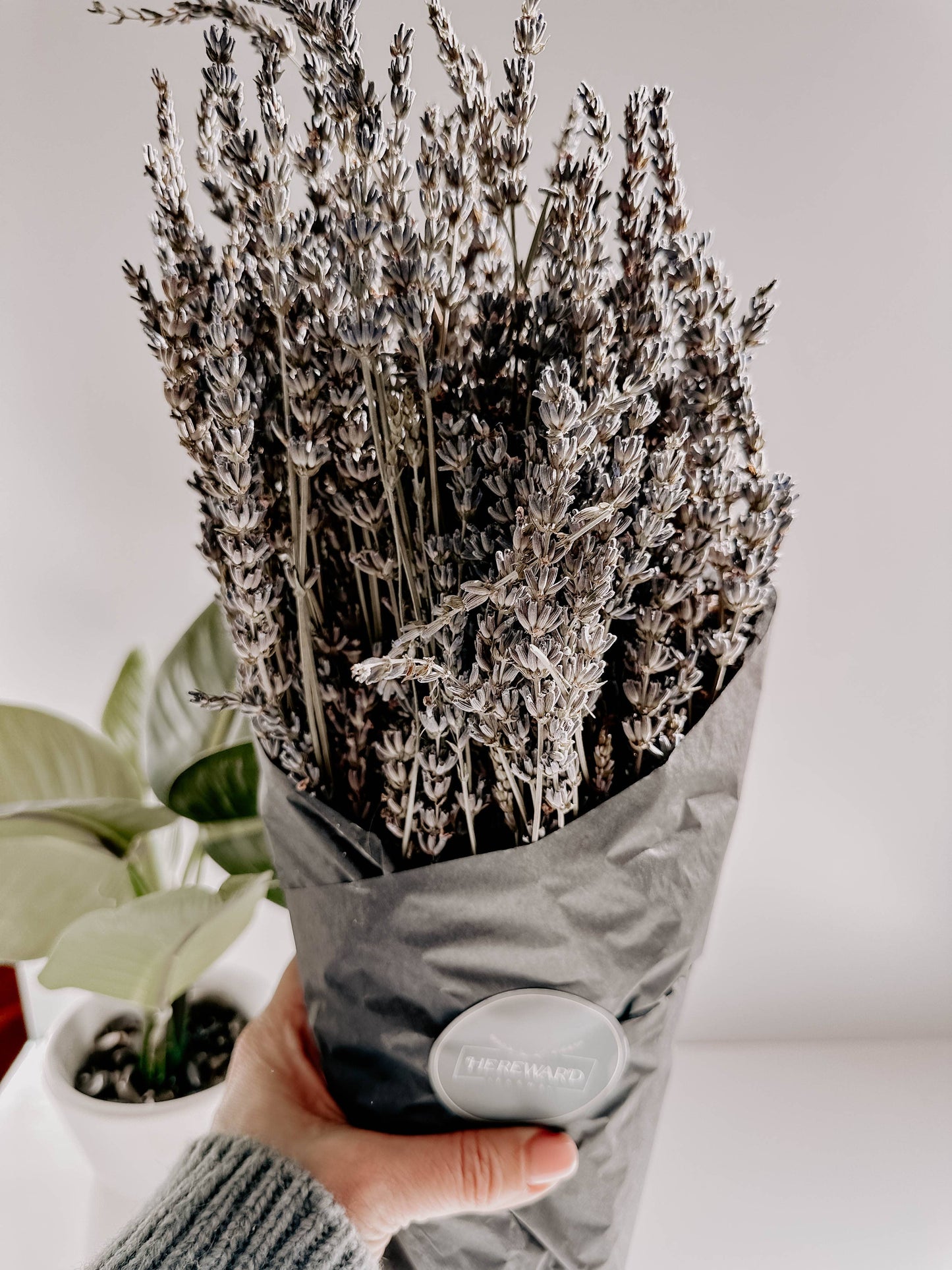 Lavender Bunches