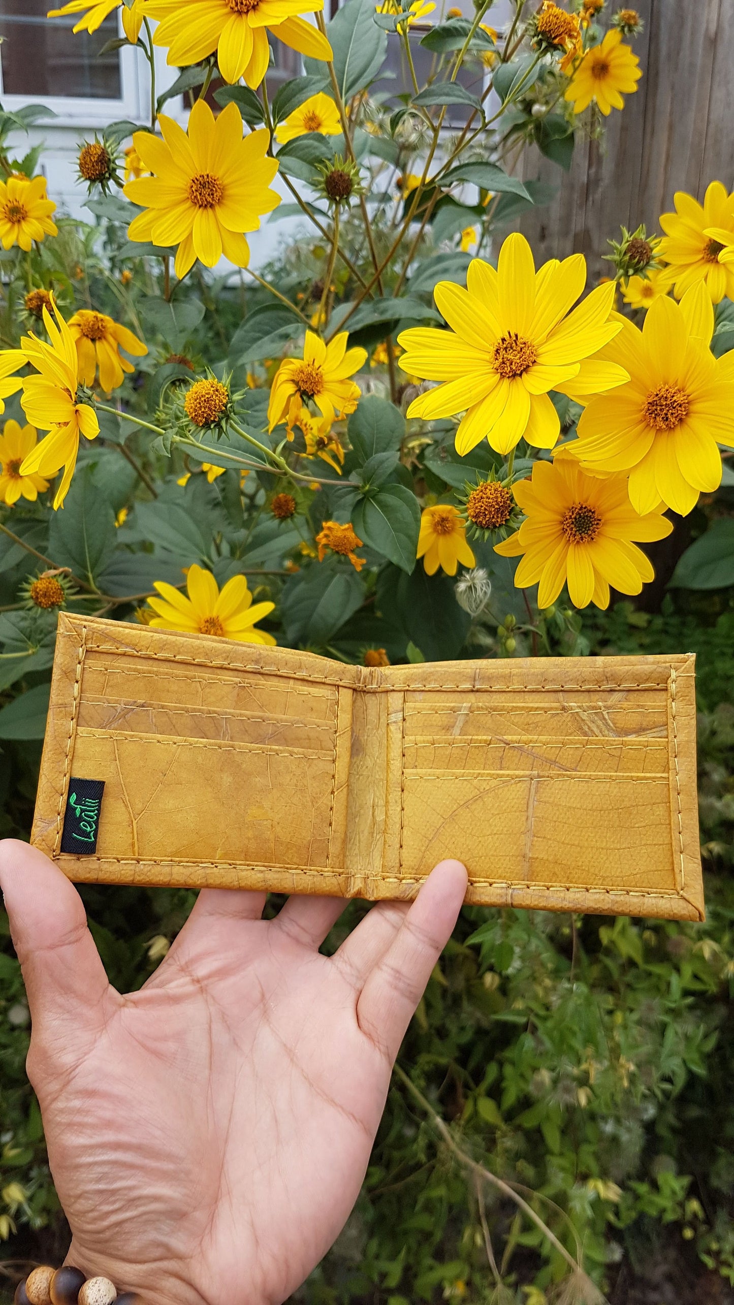 'Alexis' Wallet