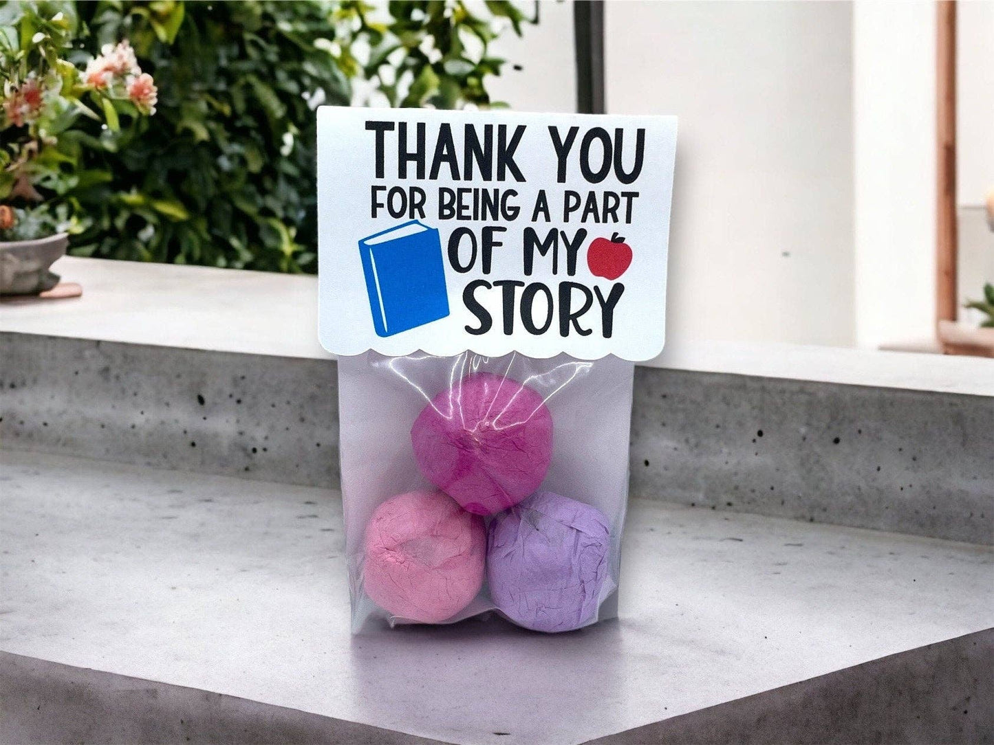 Seed Bombs - Teacher Appreciation Gift to Say Thank You