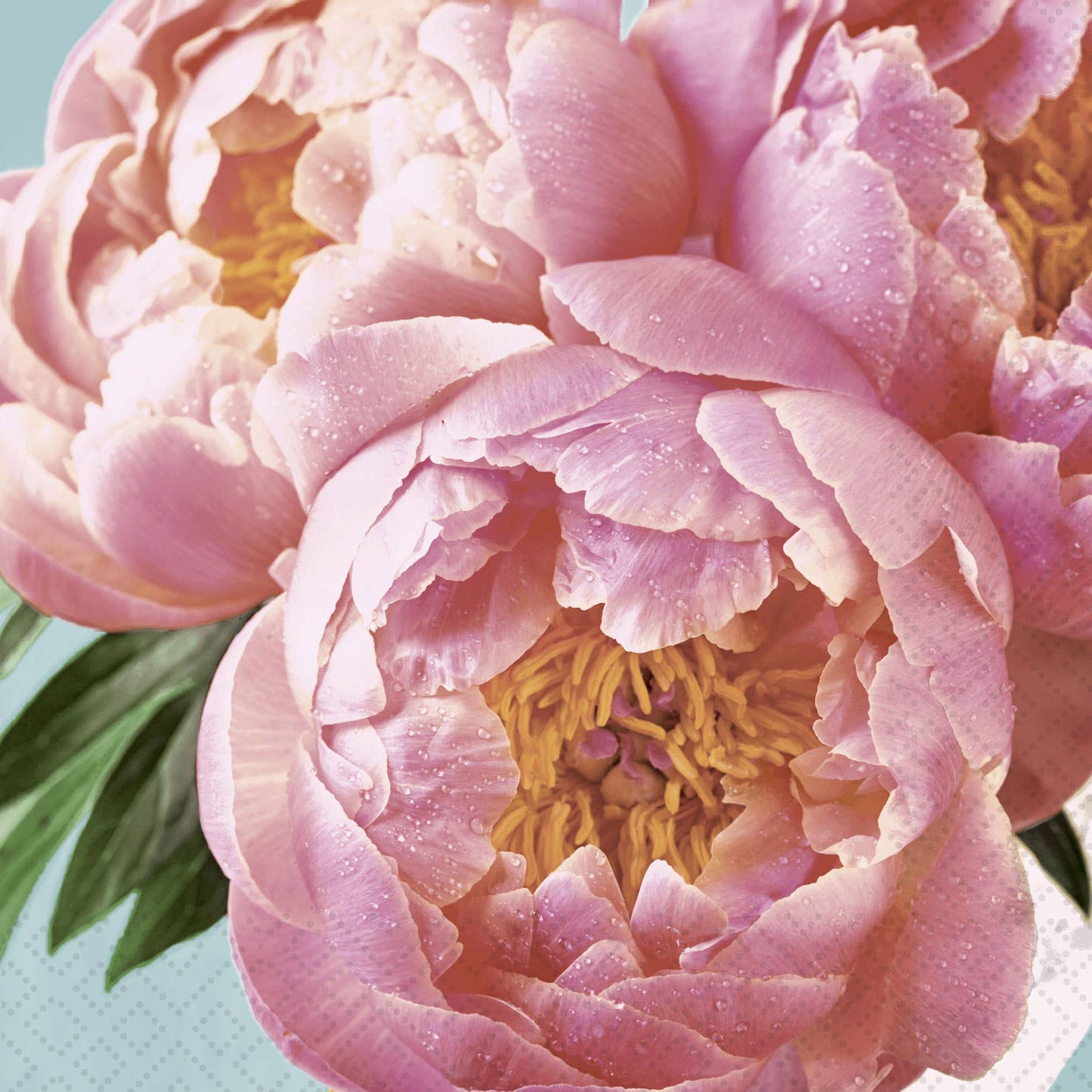 Pink Peony Luncheon Napkin