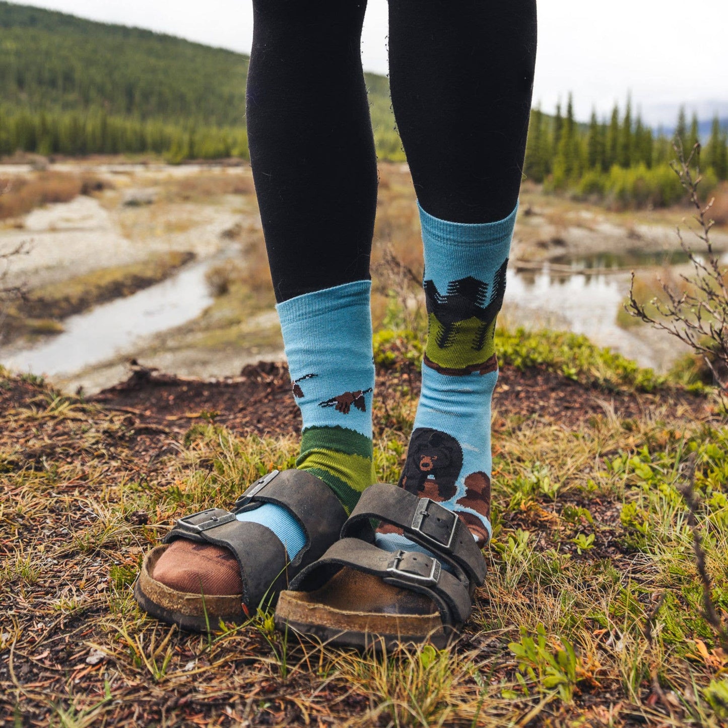 Women's Socks | Landscape | Canadian Shield | Mismatched: Women’s 5 – 10