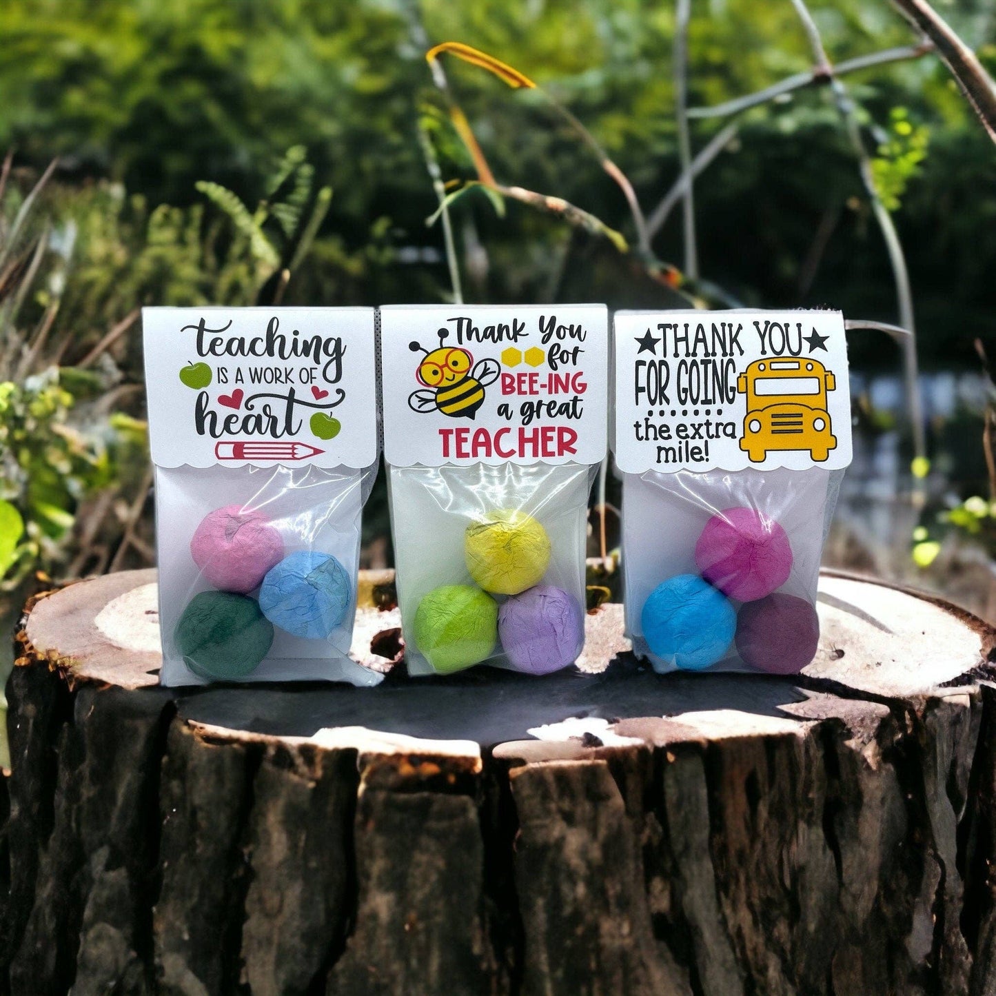 Seed Bombs - Teacher Appreciation Gift to Say Thank You