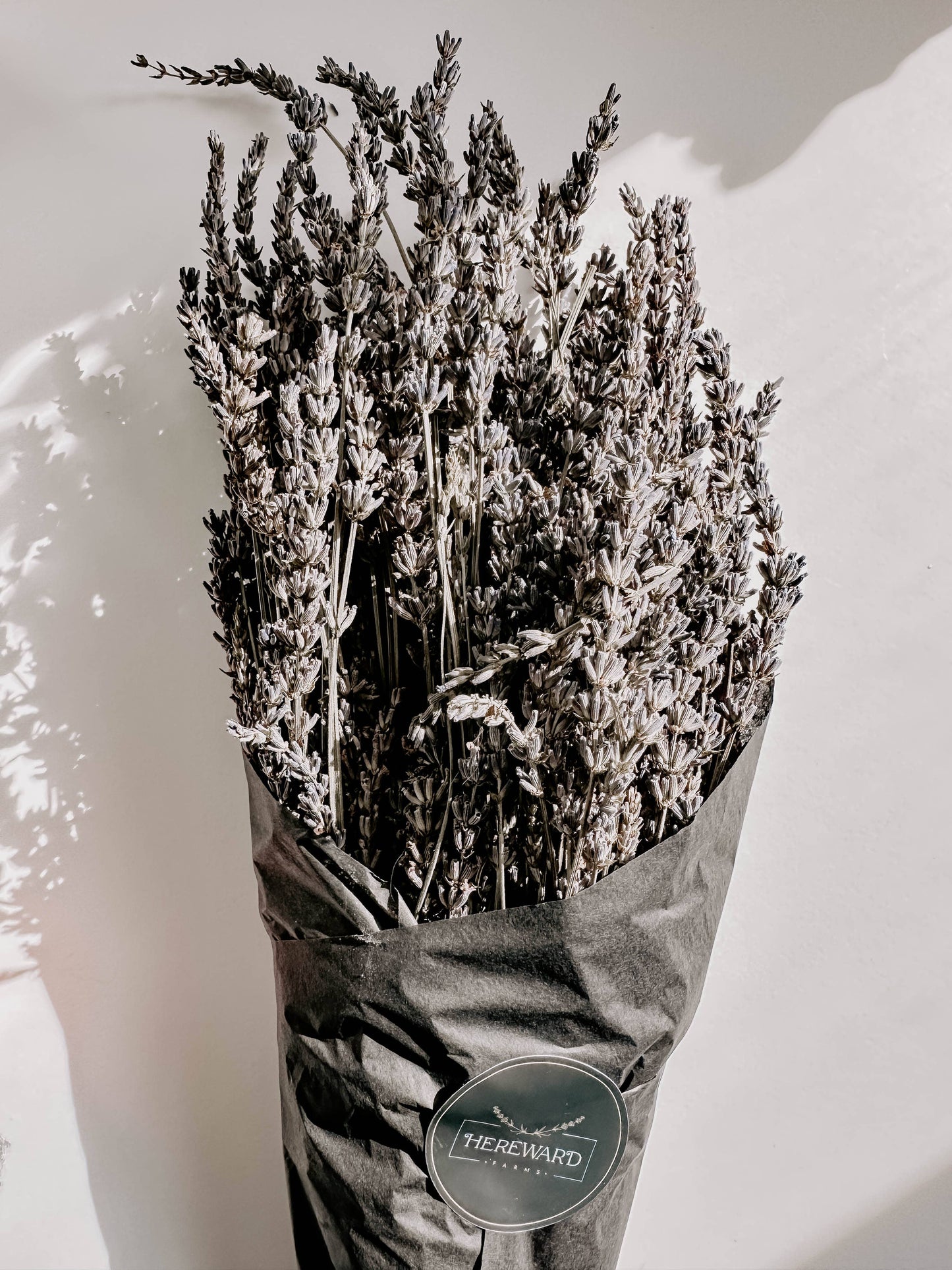 Lavender Bunches