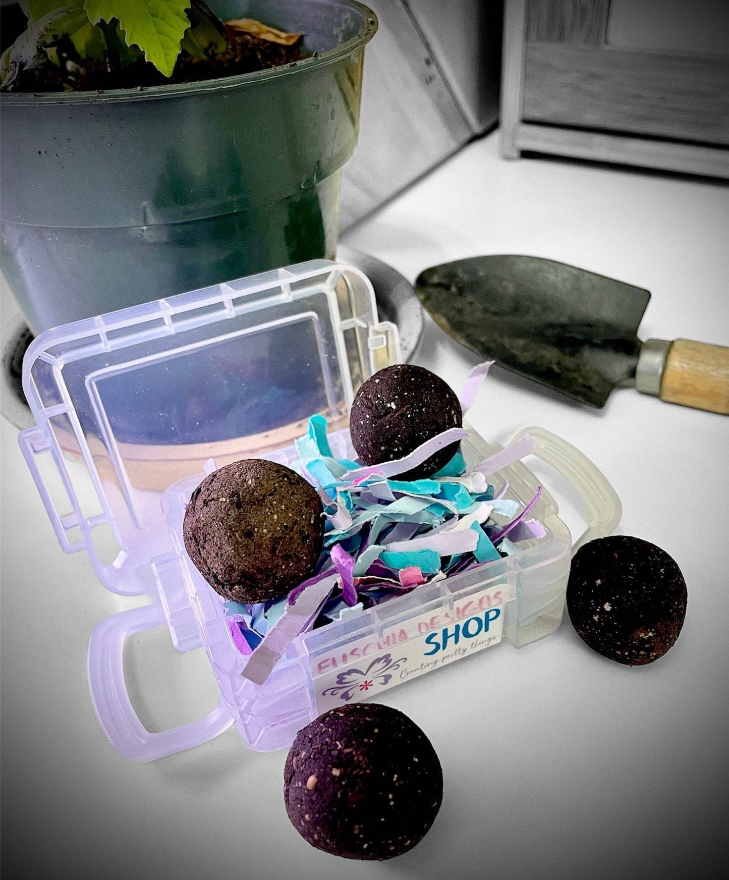 Seed Bomb