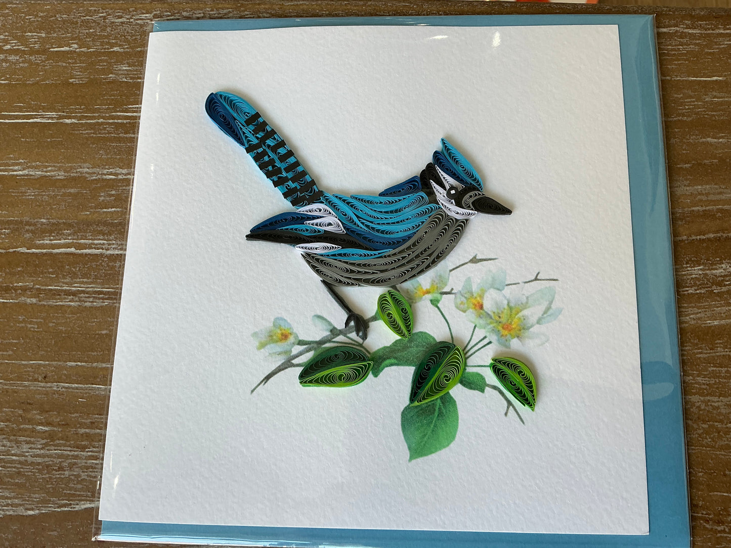 Blue jay, blue bird hand made quilling card