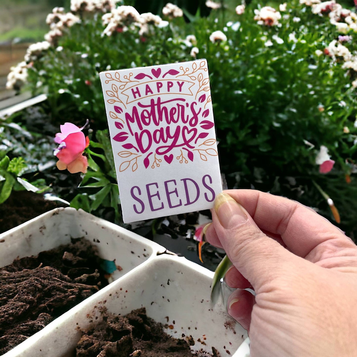Seed Packages - Mother’s Day seed package with poppies