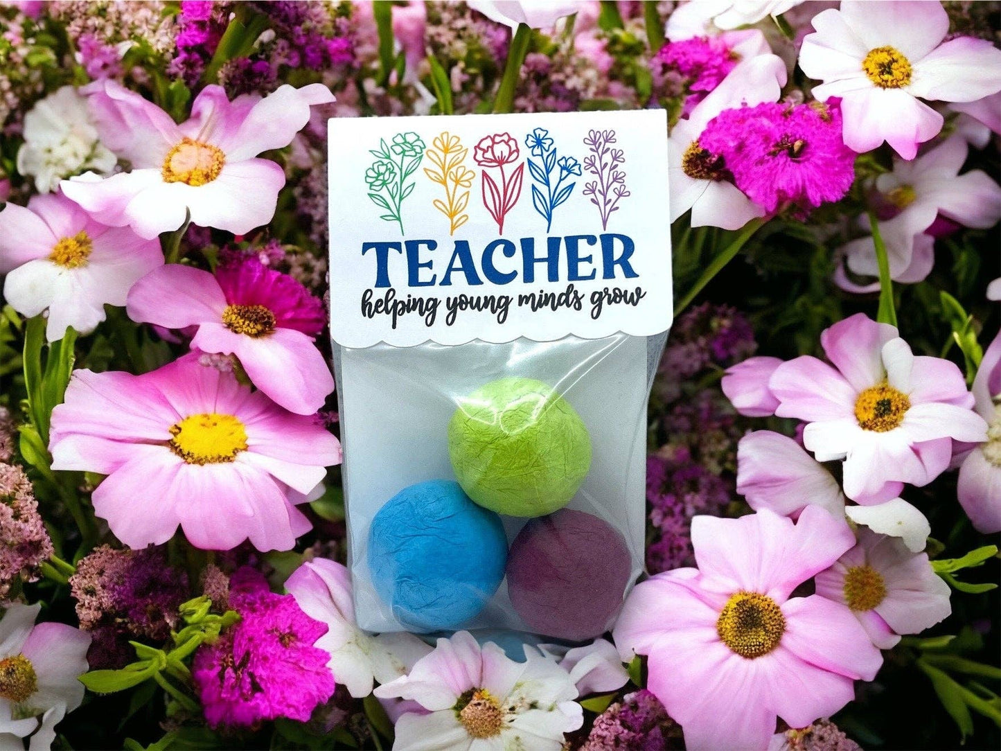 Seed Bombs - Teacher Appreciation Gift to Say Thank You