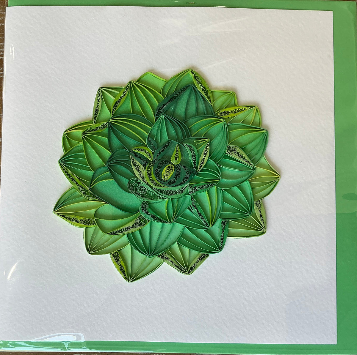 Hosta hand made quilling card