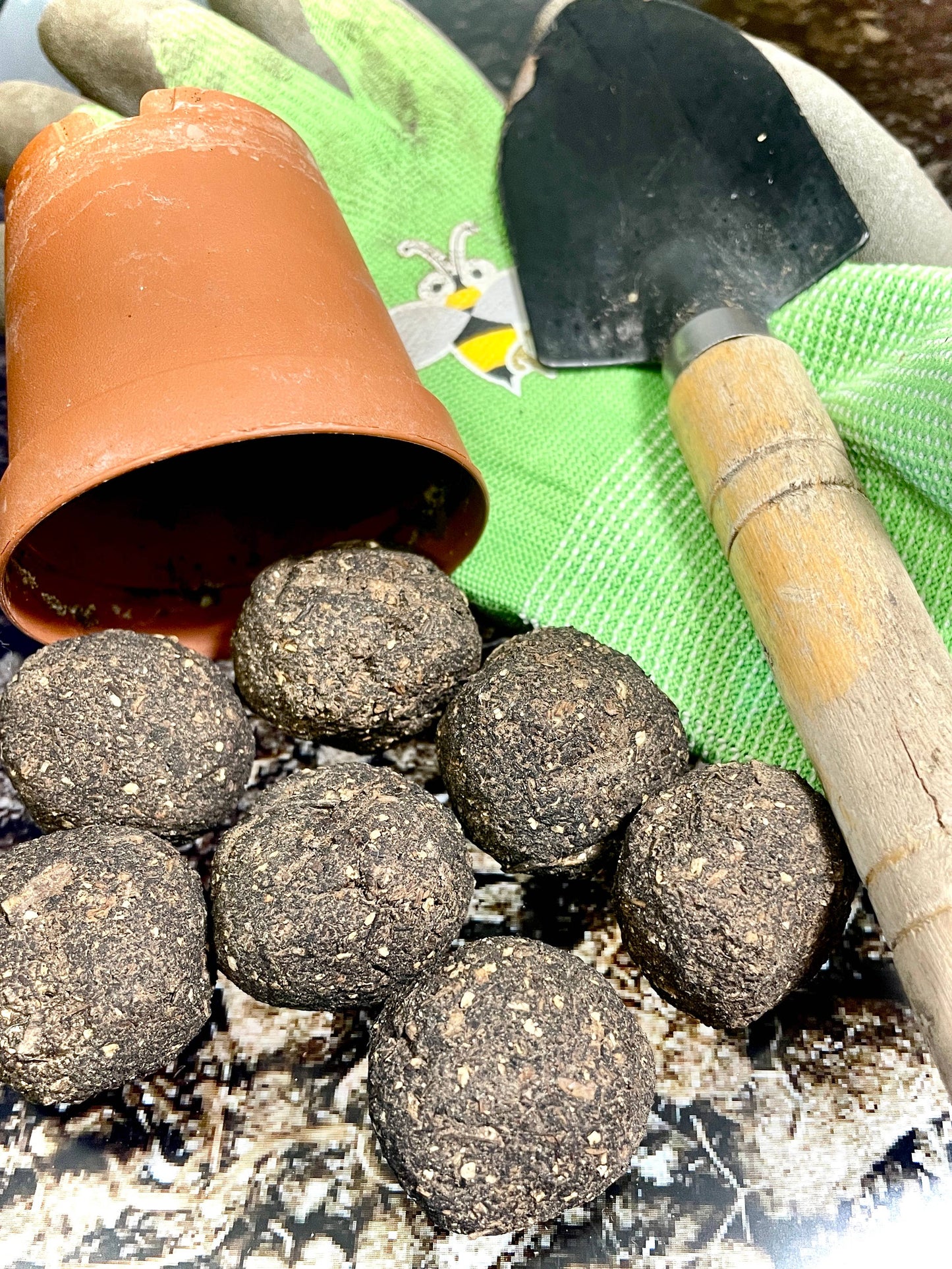 Seed Bomb
