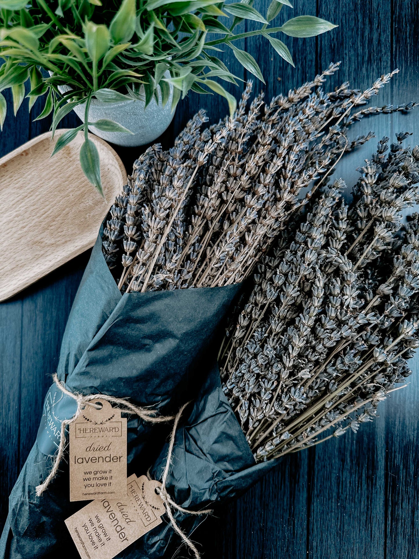 Lavender Bunches