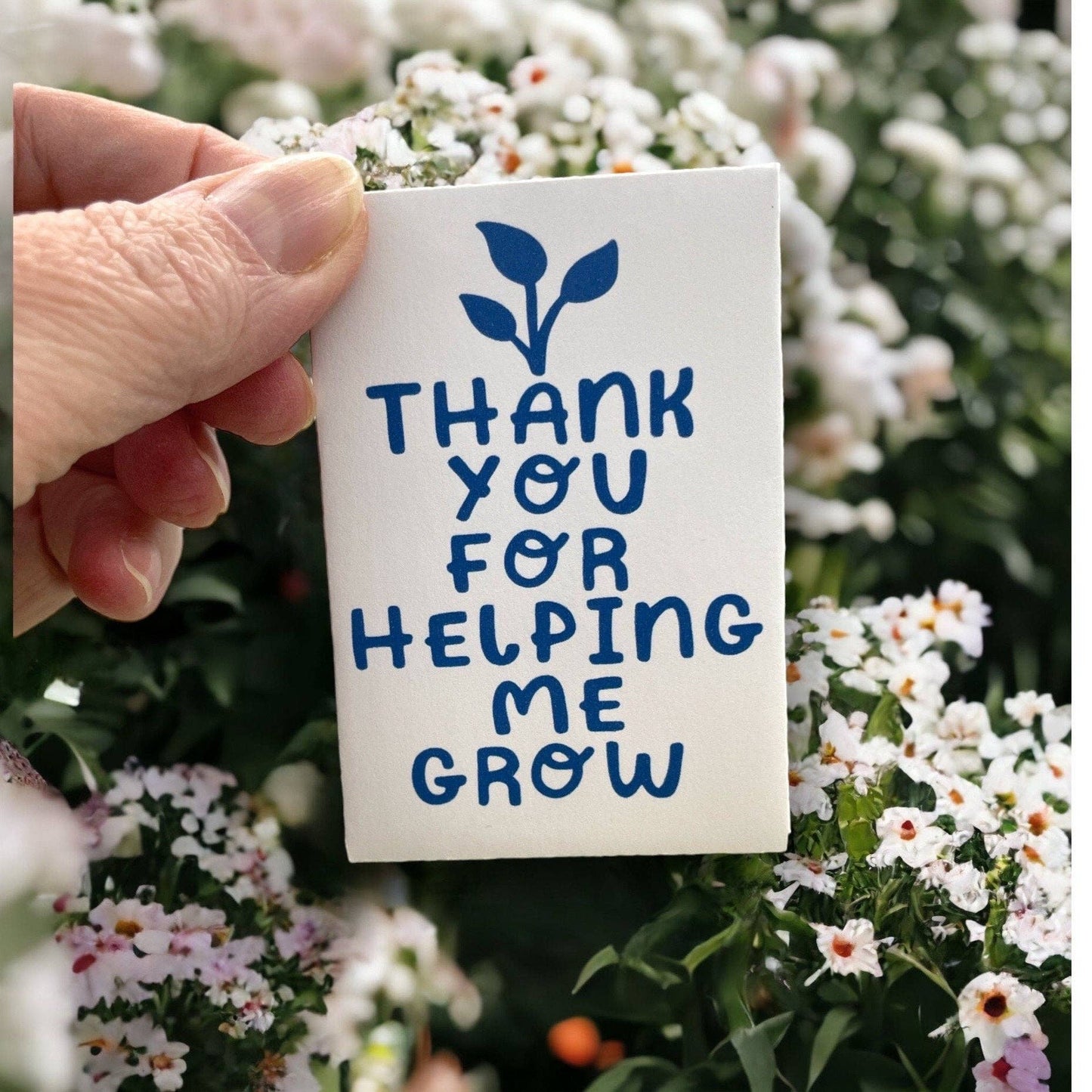 Seed Packages - Teacher Gift seed package with Wildflowers