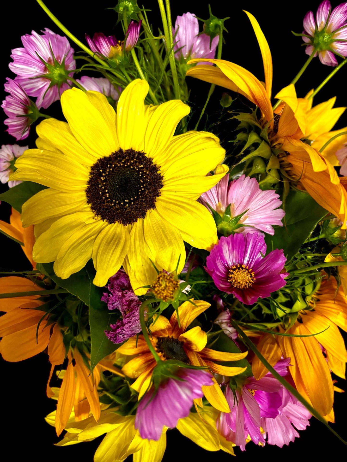 Cut Flower Garden Kit w/ Zinnia, Cosmo, and Sunflower seeds