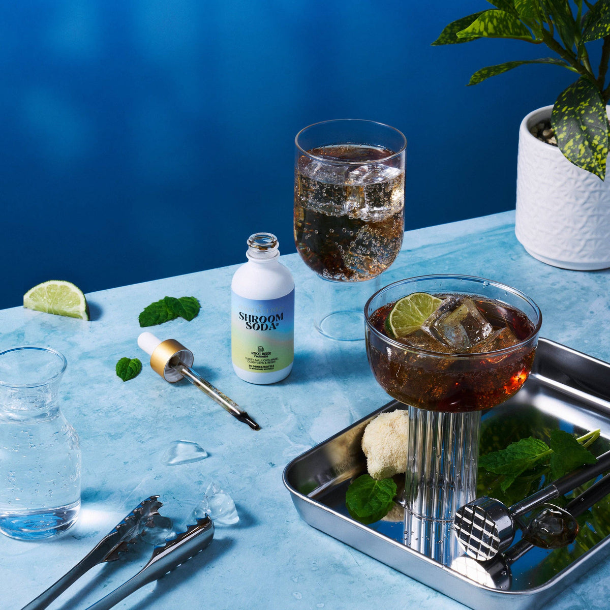 Shroom Soda®: Lavender Lemonade