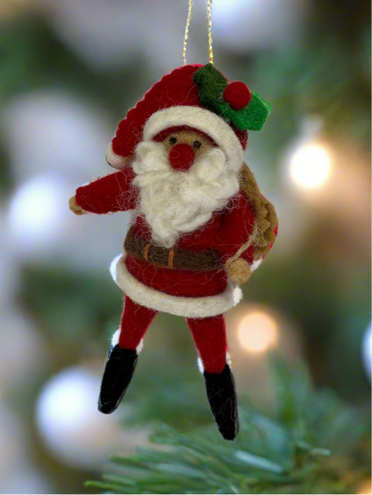 Santa with bag