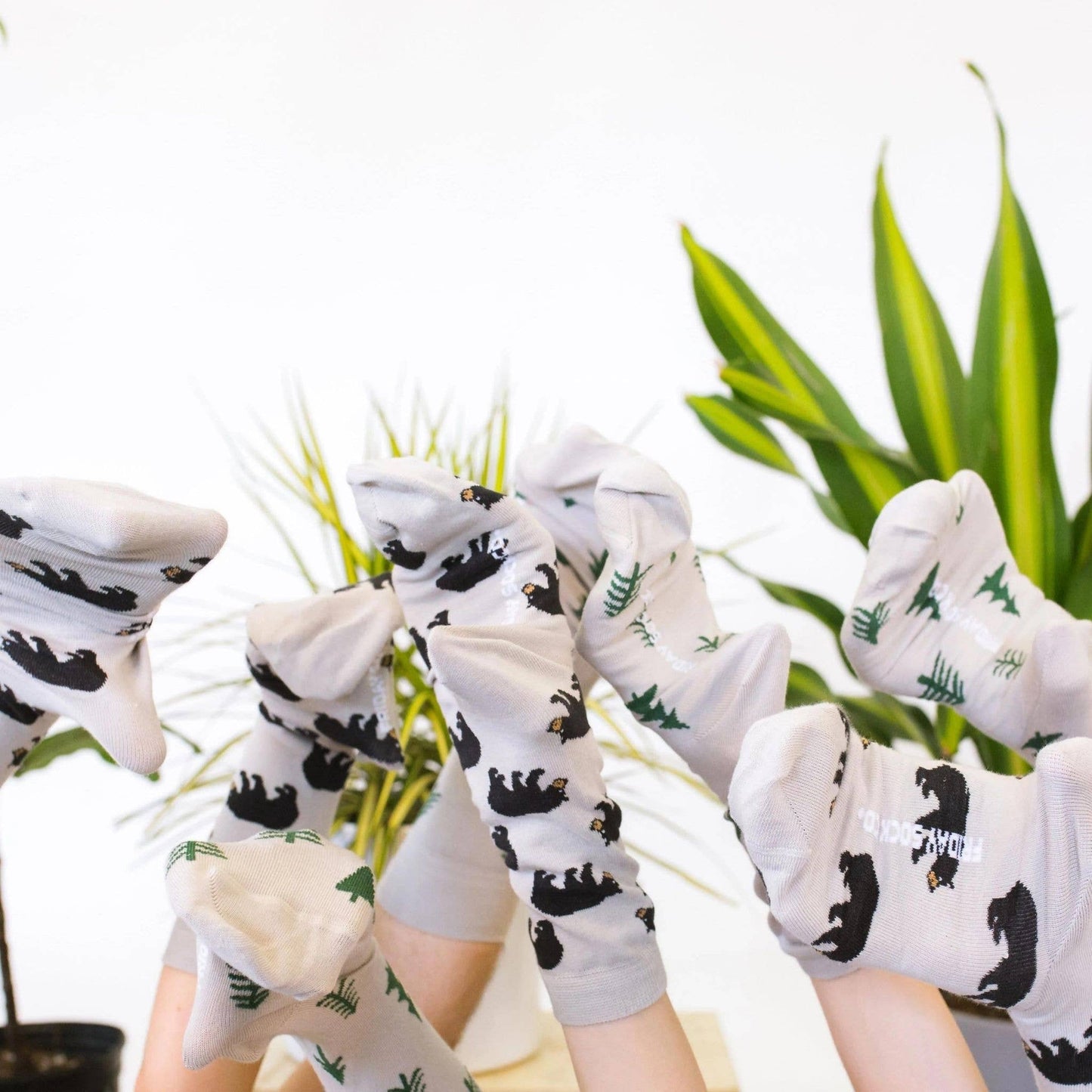 Women’s Women's Bear & Tree Socks: Women’s 5 – 10