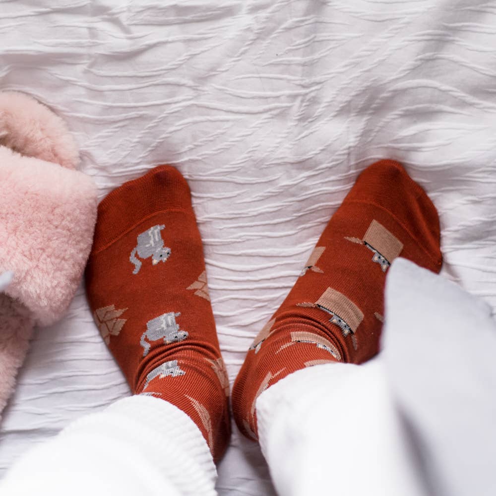 Women's Orange Cat & Box Socks: Women’s 5 – 10