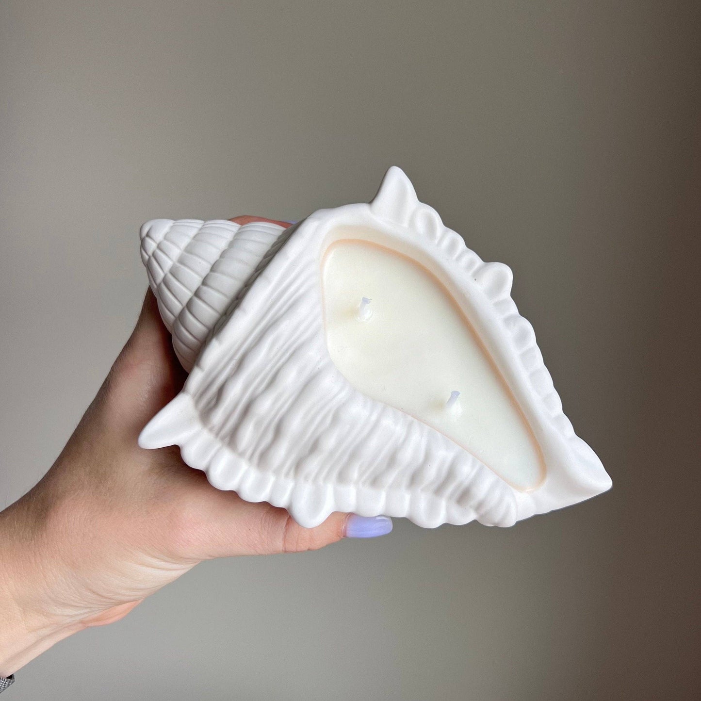 Conch Shell Soy Wax Candle | Jesmonite Container, Handmade: Coconut & Lime