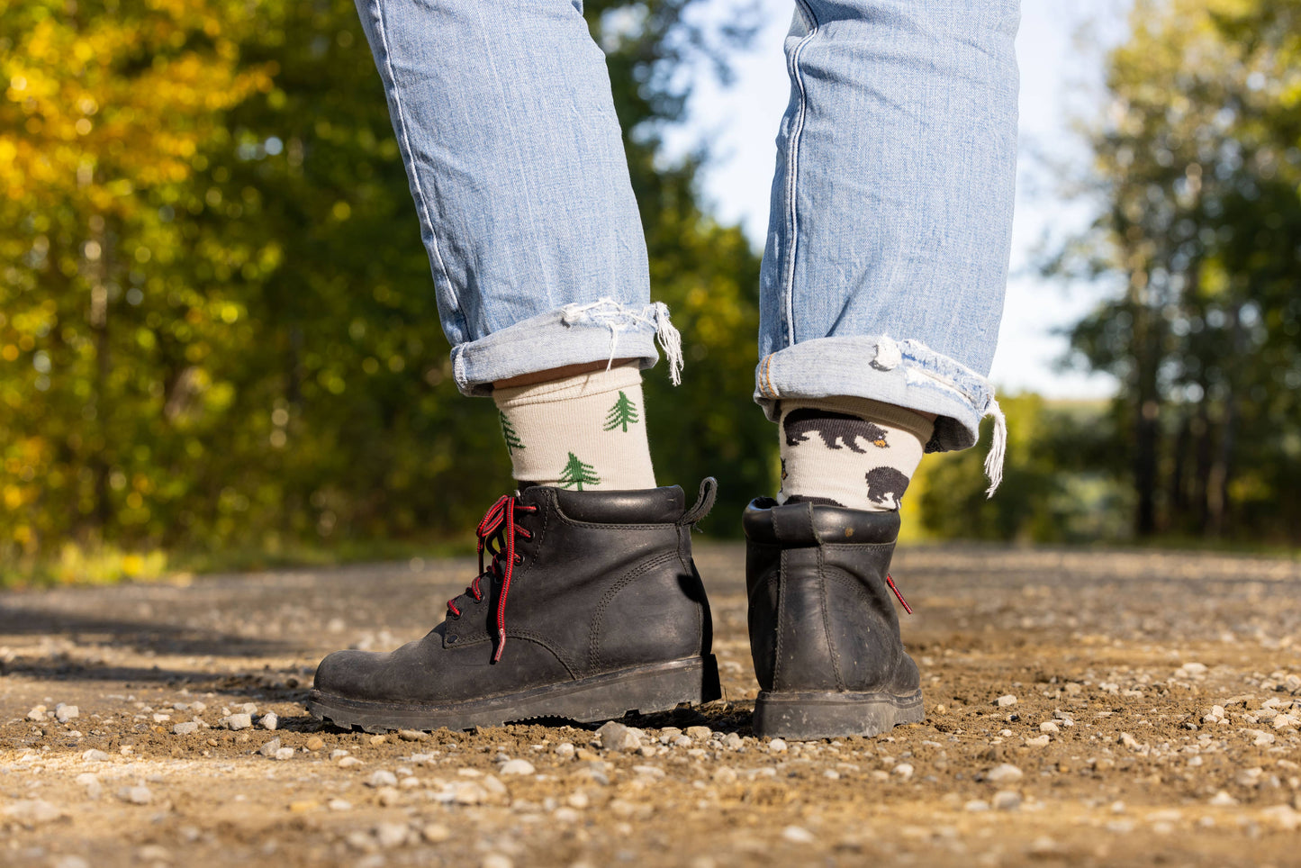 Women’s Women's Bear & Tree Socks: Women’s 5 – 10