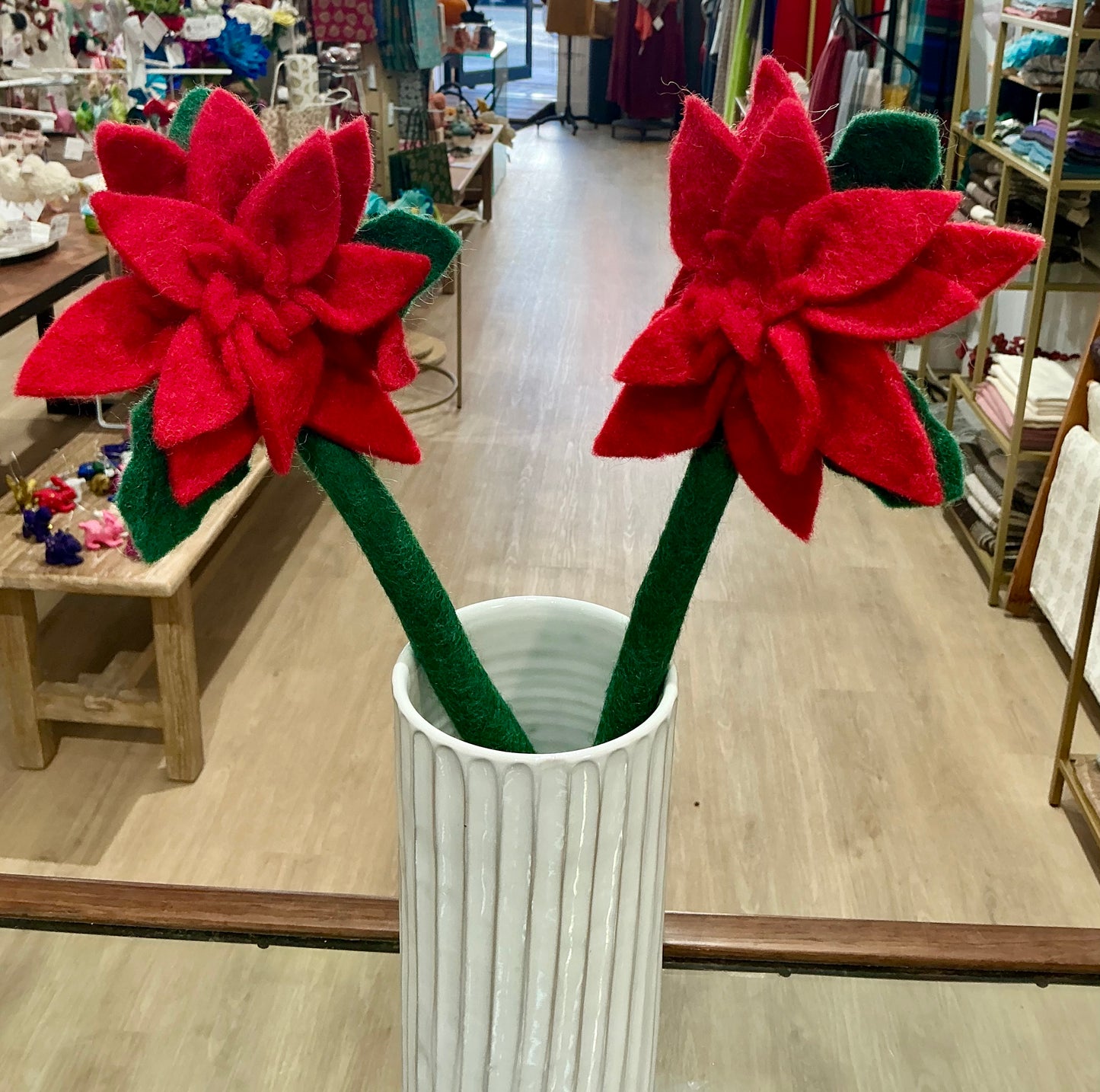 Single Stem Red Pointsetta