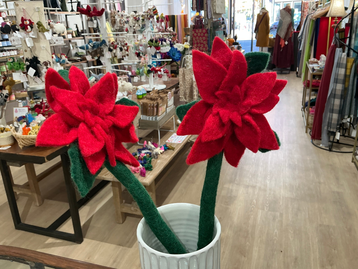 Single Stem Red Pointsetta