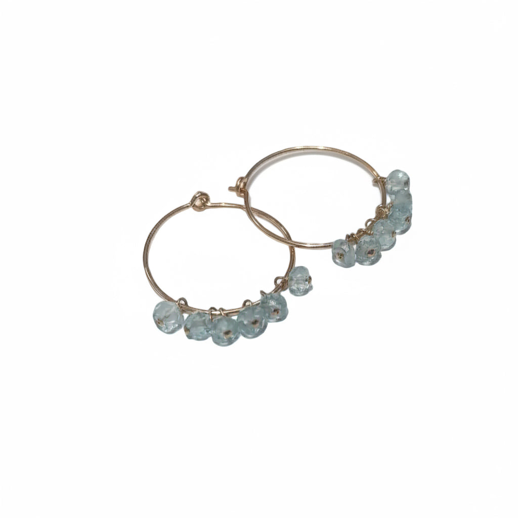 Gold Hoop Large Earrings with Gems $70