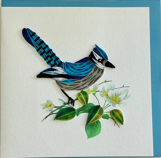 Card - blue jay