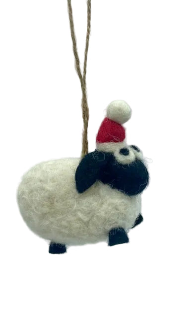 Small Sheep with Red Hat