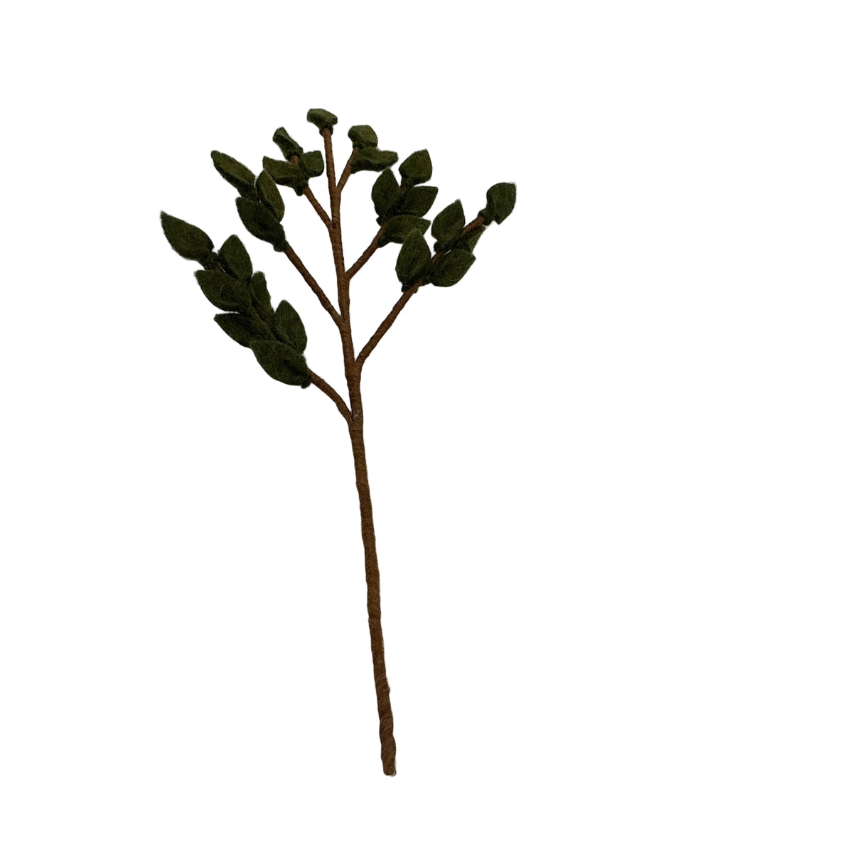 Single Green Wool Leaf Branch