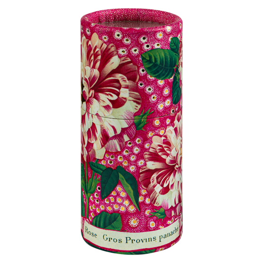 Rose Provin Petunia | Large Cylinder - Safety Matches