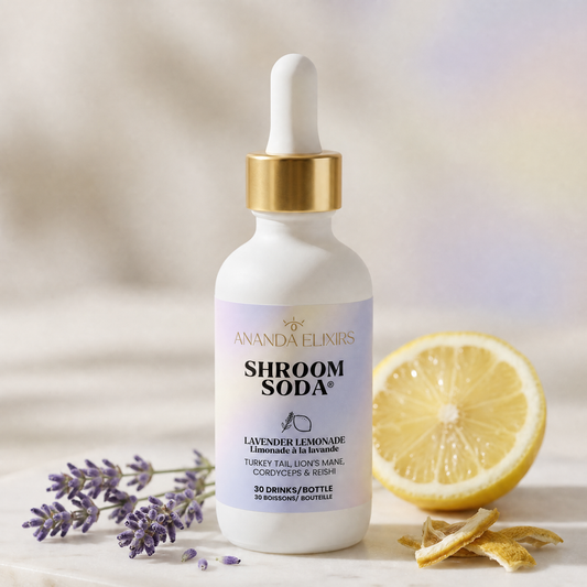 Shroom Soda®: Lavender Lemonade