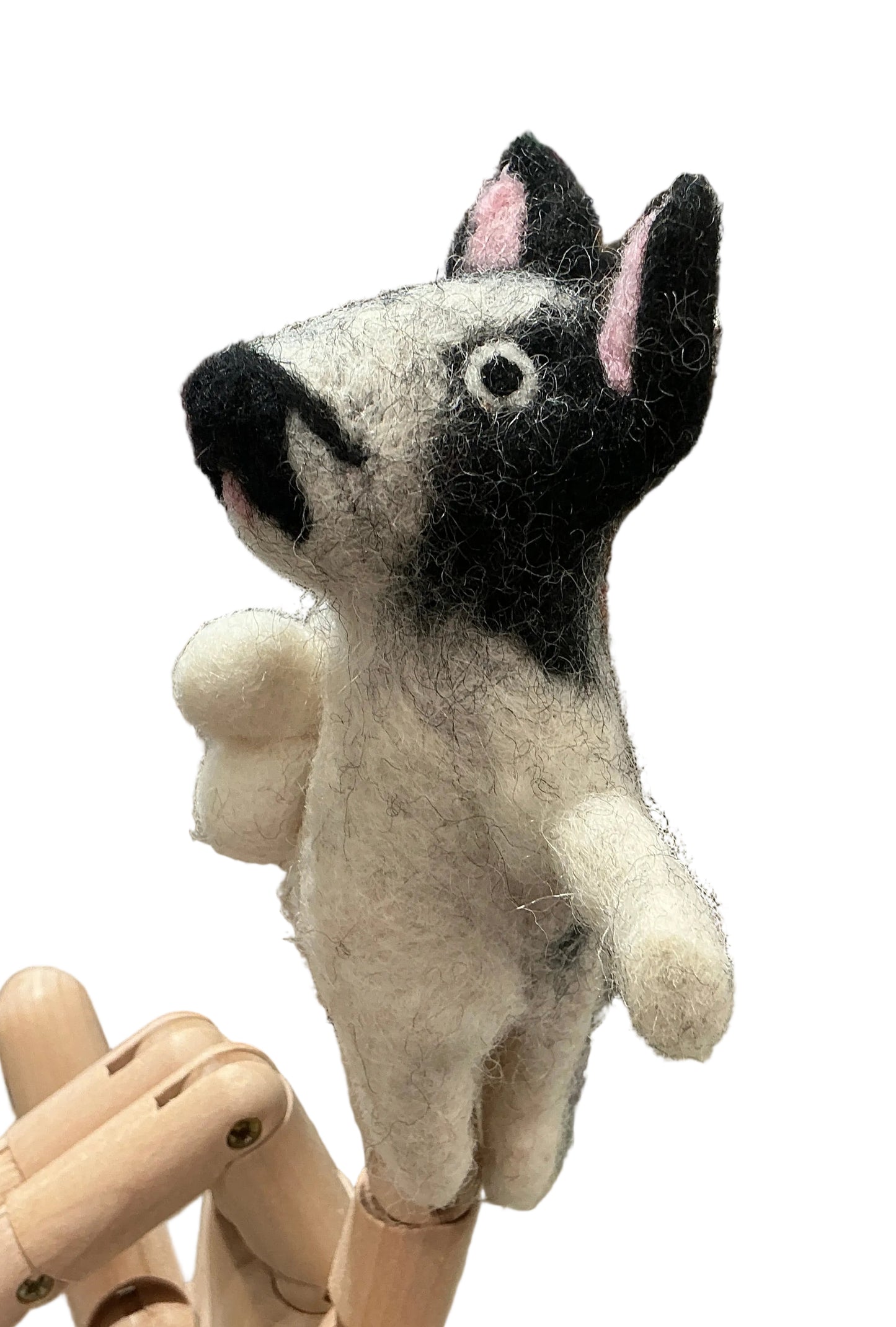Finger puppets Cats and dogs