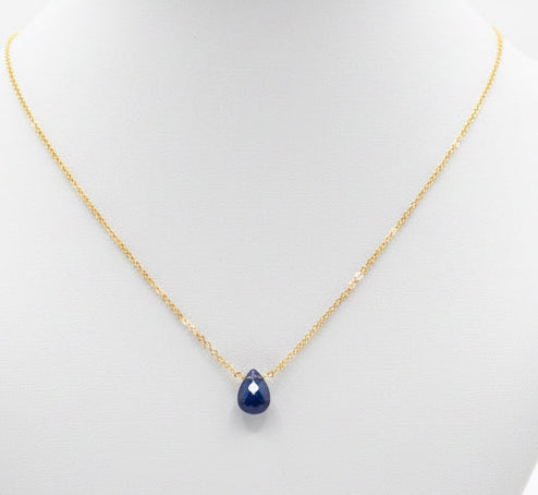 Gold Necklace with Gem Pendant $50