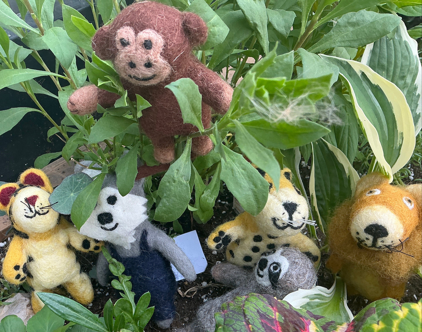 Finger puppets Jungle animals