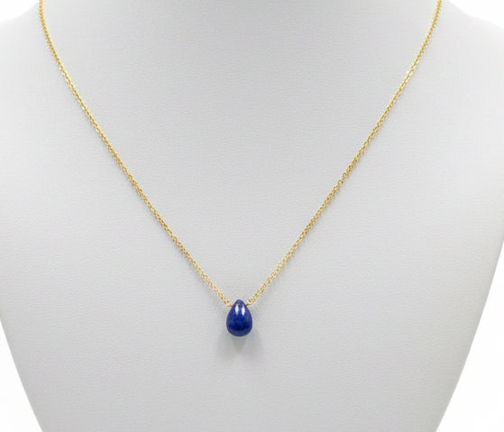 Gold Necklace with Gem Pendant $50